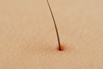 A macro photograph showing a single human hair emerging from the skin, highlighting the texture and detail of pores and fine lines.