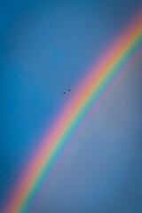 rainbow in the sky