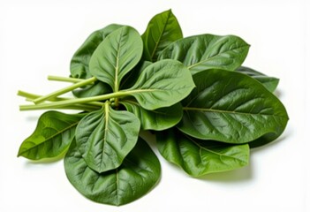 Fototapeta premium A Fresh Bunch of Vibrant Green Spinach Leaves Displaying Lush Textures and Natural Details in a Crisp Close-Up View of Healthy Leafy Vegetables