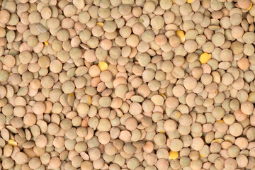 Dry raw green lentils background