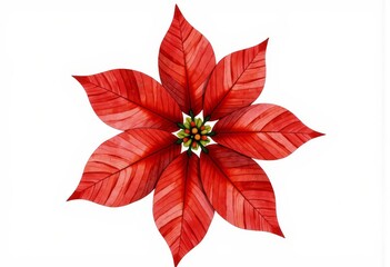 Vibrant Red Leaf Pattern Flower with Central Green and Yellow Buds Against Clean White Background