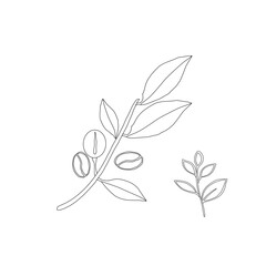 Branch with leaves. vector illustration of coffee branch. Coffee plant branch with leaf. Hand drawn Coffee tree vector. Coffee beans and leaves. Branch of a plant.
