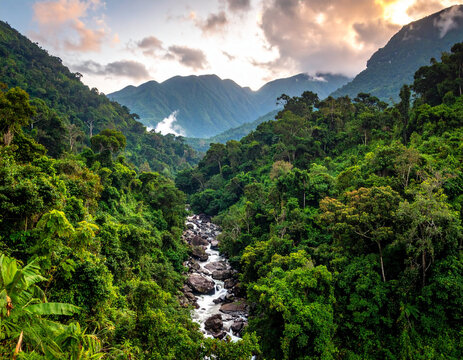 A serene view of Liberia�s Sapo National Park with rich forest canopy and distant streams.