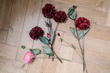 Bouquet of burgundy, pink and orange dahlias lying on a wooden floor, top view. Autumn aesthetic