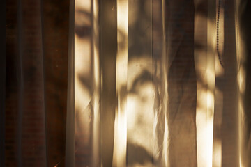 Soft sunlight filtering through delicate curtains, creating shadows of leaves and warm hues. Ideal for conveying tranquility in home decor or interior design contexts.