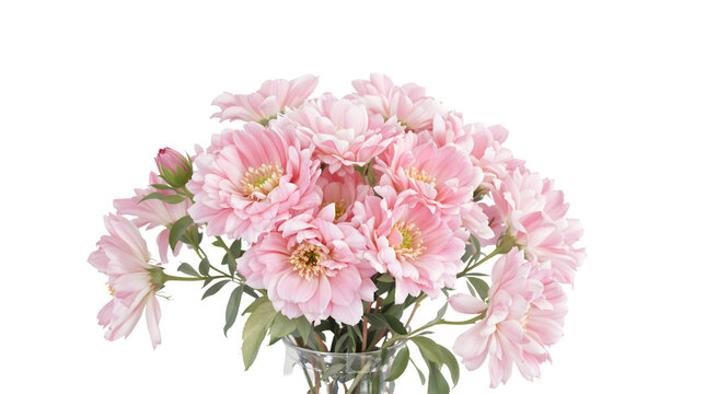 Pink flower bouquet isolated on transparent background