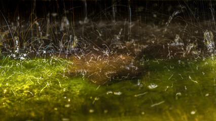 WATER - Splashes of drops falling on the water surface
