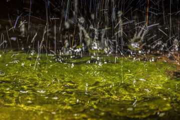 WATER - Splashes of drops falling on the water surface
