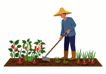 A farmer wearing a straw hat is tending to his garden, using a hoe to cultivate the soil around his plants. © denijulianto