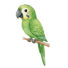 Exotic green Parrot Sitting on Branch