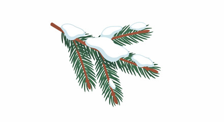 Fir branch covered in snow isolated on white background