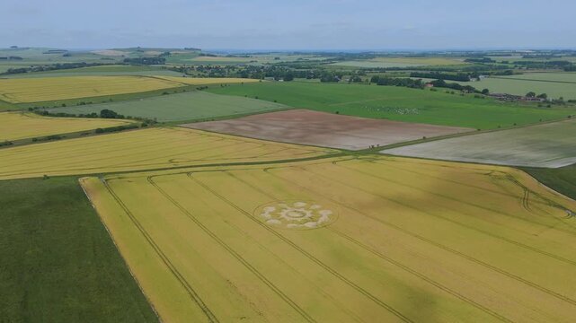 Aerial 4K footage video clip of a mysterious, intricate, geometric crop art, crop circle formation, defaced by the farmer, in a wheat/barley field near Avebury, Wiltshire, England, UK in 2025
