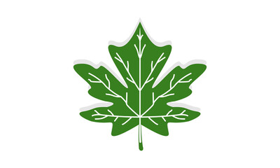 Oak leaf with shadow vector