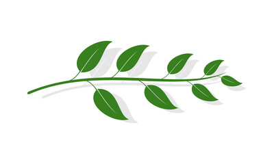 Sprig of leaves with shadow vector