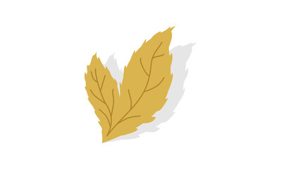 Dry leaf with shadow vector