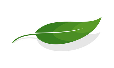Elegant leaf with shadow illustration vector