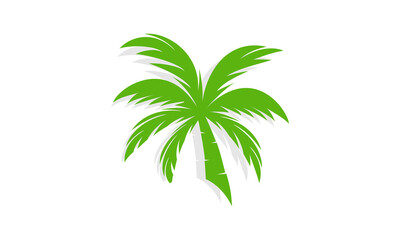Coconut leaves with shadow vector