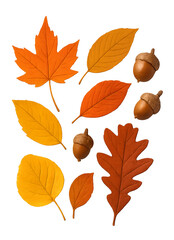 Naklejka premium Vibrant Autumn Leaves and Acorns Collection on Transparent Background