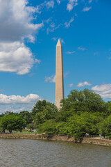 The Washington Monument rises above trees along the Tidal Basin on a bright summer day.