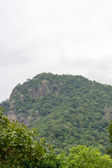 A mountain covered in green trees and a cloudy sky