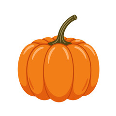 Pumpkin with stem for autumn or holiday decorations