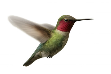 Fototapeta premium Colorful hummingbird soaring with wings extended, showcasing its vibrant plumage. Isolated on a transparent background