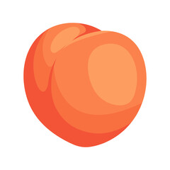 Abstract apricot with smooth curves and shading for food and fruit themes