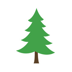 Fototapeta premium Green pine tree with layered branches in a natural style
