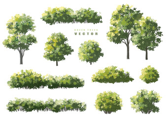 Vector of green tree side view isolated on white background ,watercolor tree elevation for landscape concept,environment scene,eco design, garden for spring