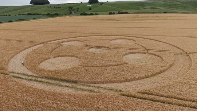 Aerial 4K footage video clip of a mysterious, intricate, geometric crop art, crop circle formation in a wheat field near Hackpen Hill, Wiltshire, England, UK in 2025