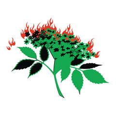 Stylized floral branch design with flames in red green and black