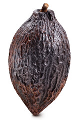 Cocoa isolated on white background