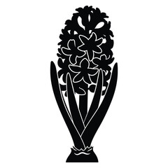 Black and white graphic hyacinth flower illustration elegant and modern design