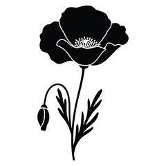 Black and white poppy flower illustration simple minimalist design art