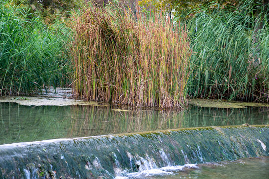 Paisaje acu&aacute;tico