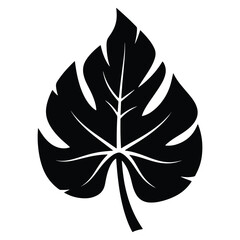 Monstera Leaf Silhouette Tropical Plant Vector Illustration Black and White