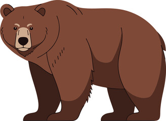 brown bear vector