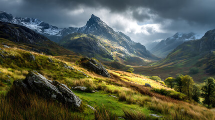 Stunning Nature Landscapes and Scenic View