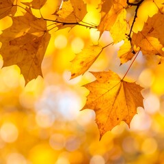 Golden Autumn Leaves - A Captivating Close-Up of Fall Foliage.
