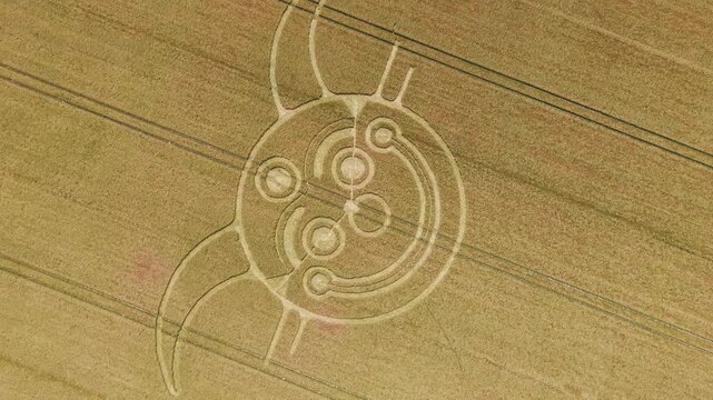 Aerial 4K footage video clip of a mysterious, intricate, geometric crop art, crop circle formation in a wheat field near Normanton Downs, Wiltshire, England, UK in 2025