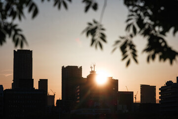 Osaka skyline at sunset