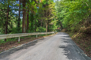 国道299号線十石峠の群馬県側の狭い山道