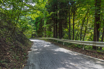 国道299号線十石峠の群馬県側の狭い山道