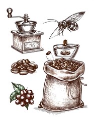 Hand-drawn coffee elements and bee illustration on white