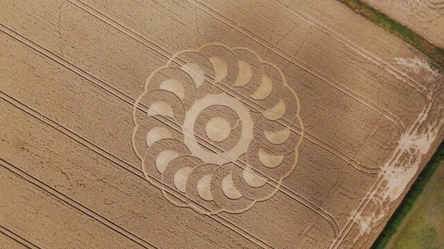 Aerial 4K footage video clip of a mysterious, intricate, geometric crop art, crop circle formation in a wheat/barley field near Lyme Regis, Devon, England, UK in 2025