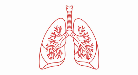 Human lungs icon in monoline style with red outline, showing respiratory system. Detailed diagram of human lungs is essential for medical and educational purposes.