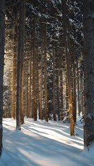 Snowy Winter Forest with Sunlight Streaming Through Tall Pines