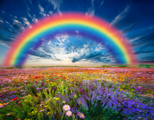 Beautiful Hillscape With Vibrant Rainbow and Colorful Wildflowers Under Moody Skies