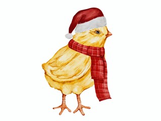 Watercolor chicken in a Santa Claus hat, hens