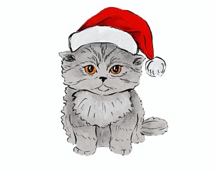 cat with santa hat  watercolor 